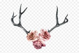 We did not find results for: Deer Antlers Silhouette Png Rose Roses Antlers Pink Deer Antler With Flowers Tattoo Antlers Png Free Transparent Png Images Pngaaa Com