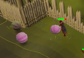 This is my complete pest control guide with everything you should and need to know about the minigame ranging from tactics to setups to general info! The All You Need To Know Void Knight Armor Guide Osrs