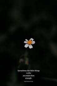 Time For Stillness Flower Quotes Nature Quotes Bible Quotes Nature