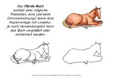 Tipss und vorlagen, tipps und vorlagen zum basteln kinderschminken tipps und vorlagen tipps und tricks vorlagen lapbooks 2019. Lapbook Grundschule In Der Grundschule Lapbook Vorlagen Material Klasse 2 Grundschulmaterial De