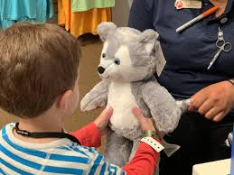 Maybe you would like to learn more about one of these? Build A Bear Workshop At Great Wolf Lodge Prices Options