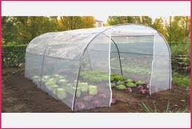 Resultado de imagen para tunnel horticole