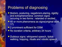 Image result for Echophenomena