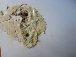 How do you repair a self closing door hinge? Is My Kitchen Cabinet Door Beyond Repair Home Improvement Stack Exchange
