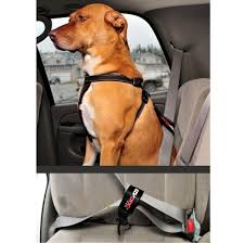 Chest Plate Harness Solid Colors W Seatbelt Restraint By Ezydog