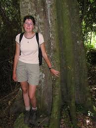 Image result for Heywoodia