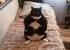 Fat Cat Couch Ffxiv