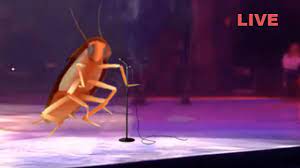 Dancing Roach Live In Concert Youtube