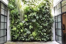 Mur Vegetal Interieur Et Exterieur En 21 Photos Magnifiques Mur Vegetal Exterieur Mur Vegetal Interieur Jardin Interieur