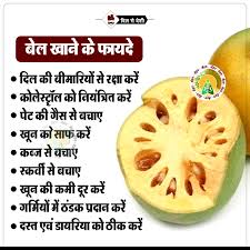Dilsedeshi Hindi Health Fitness Ayurved Good Health Tips Home Health Remedies Fruit Health Benefits
