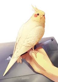 Bird Crying Like A Baby Why You Are Crying Cute Kawaii Animals Animal Drawings Bird Art