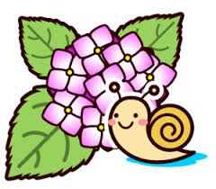 紫陽花の葉には毒があるの かたつむりが紫陽花にいるのは嘘だった 明快情報ブログ