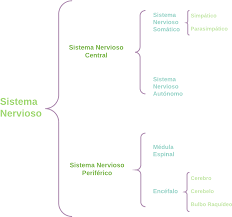Lucidchart diagrams is one of. Download Ejemplos Plantillas De Cuadros Sinopticos Lucidchart Diagram Full Size Png Image Pngkit