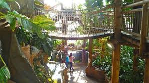 Das Haus Des Meeres In Wien Ist Sehenswert Tropenhaus Und Der Krokipark Osterreich Tropenhaus Aquarien Haus