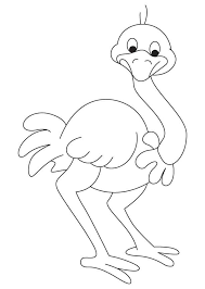 Asian Ostrich Coloring Page Animal Stencil Animal Coloring Books Coloring Pages