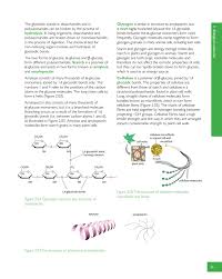 Cell walls contain cellulose, and cellulose with its rigid structure gives crunch to vegetables when you cut or bite into them. Preview Cambridge International As And A Level Biology Revision Guide By Cambridge University Press Education Issuu