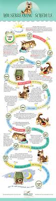 Potty Training Schedule How To Housebreak A Puppy Infographic