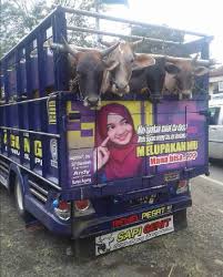 We did not find results for: 10 Tulisan Galau Di Belakang Truk Ini Bikin Senyum Getir Dailysia