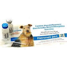 Puppy shots / costs (self.puppy101). Durvet Kenne Jec 2 1 Dose With Dropper 51609 At Tractor Supply Co
