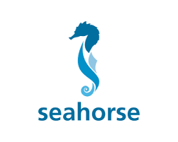 Seahorse Designed By Eridesign Horse Logo Design Hotel Logo Design Seahorse