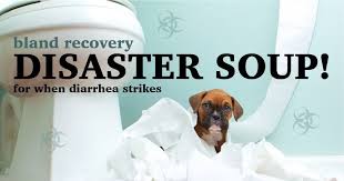Soup Recipe For Your Dog S Upset Stomach Dog Upset Stomach Dogs Naturally Magazine Diarrhea In Dogs