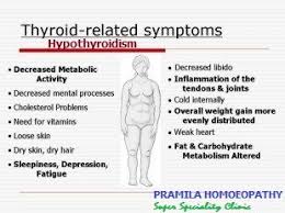 As A Note Some Of These Symptoms Can Be An Isolated Issue A Thyroid Issue Or Something Else Entirely Fi Thyroid Awareness Thyroid Health Thyroid Problems