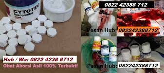 Gugurkan hamil atau bisa disebut juga dengan istilah aborsi adalah sebuah tindakan obat ini juga dapat mencegah kehamilan jika memang anda terlambat datang bulan karena hamil. Cara Menggugurkan Kandungan Secara Alami Dalam Hitungan Perjam Di Apotik Klinik Konsultasi