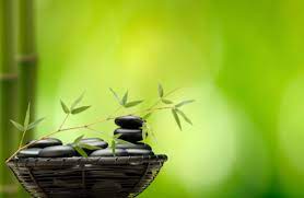 Feng Shui Plants For Harmony And Positive Energy Feng Shui Feng Shui Master Zen