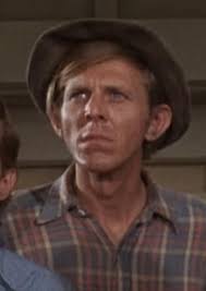 The Byrd Who Flew Alone: The Triumphs and Tragedy of Gene Clark (2013)