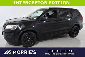 Image result for Arizona Beige 2020 Interceptor