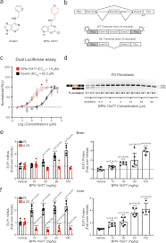 See what animesh jana (animeshjana76) has discovered on pinterest, the world's biggest collection of ideas. Chumq9tfttuttm