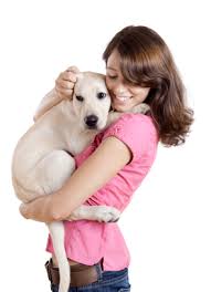 So kannst du den katzenurin geruch entfernen. Hundeurin Aus Teppich Entfernen