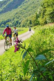 7 Days On The Green Path Trans Ardennes France Ecotours Ecotourism Eco Friendly Travel Ardennes