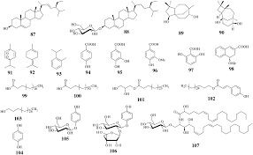 Image result for Eriosema lebrunii