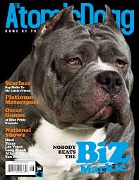 Biz Markie Nobody Beats The Biz Squires Bullies Home Of Extreme Bully Biz Markie Biz Markie American Bully Bullying