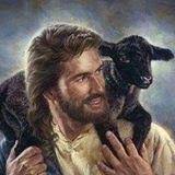 Adele BOYLE Obituary (2019)