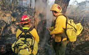 Nuevo Incendio En El Bosque De La Primavera El Occidental Noticias Locales Policiacas Sobre Mexico Guadalajara Y El Mundo