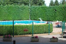 Het sanitair is schoon en goed onderhouden. Piscine Aquatique Picture Of Camping Municipal La Foret Saint Pierre De Trivisy Tripadvisor
