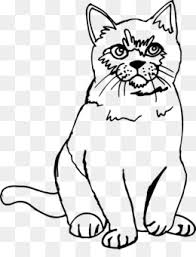 Pada kesempatan kali ini, saya akan membagikan berbagai sketsa gambar kucing lucu dan keren dengan berbagai pose yang pasti bisa anda. Utah Calochortus Nuttallii Gambar Gambar Png