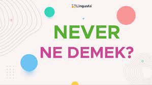 Meanings of ne demek in english turkish dictionary : Never Ne Demek Never Kelimesi Turkce Anlamlari Ve Ornek Kullanimlari