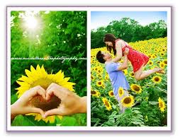 Field of flowers has three locations to service and delivery from miami to delray beach. Dc Wedding Photographer Michelle Vantine Summer Sunflower Engagement Sesh Engagement Pictures Poses Dc Wedding Photographer Sunflower Field Photography