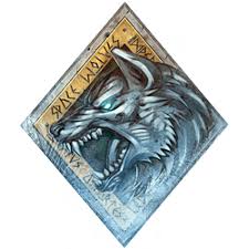 Image result for space wolves