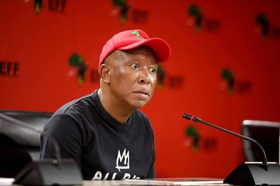POLITICAL WEEK AHEAD | EFF leader Julius Malema to be sentenced in firearm  case