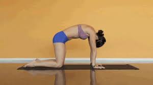 Super Easy 3 Minute Morning Yoga Routine For Beginners In 2021 Better Posture Stretching Exercises For Seniors Yoga Routine For Beginners