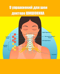Kak Navsegda Zabyt O Vysokom Davlenii 9 Uprazhnenij Doktora Shishonina