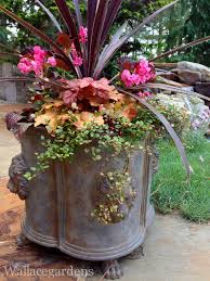 Thriller Filler Spiller Photo By Nancy Wallace Container Plants Container Gardening Container Flowers