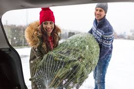 Cutting down your own christmas tree is an adventure steeped in tradition. Cut Your Own Christmas Tree Farms On Long Island Longisland Com