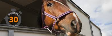 Typically, separate horse trailer insurance as well as almost any other trailer insurance can be purchased from companies that specialise in rv insurance, mobile catering trailers and most auto. Horse Trailer Insurance Get Horse Trailer Insurance Quotes Online Now
