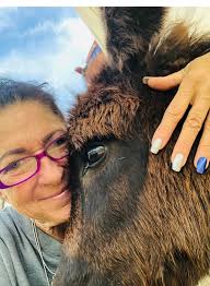 Donkey saved from Mexican "jail" by welfare charity