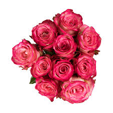 The use of edible flowers in cooking is an act of pure earthly delight! Buy Flowers And Plants Online Woolworths Co Za